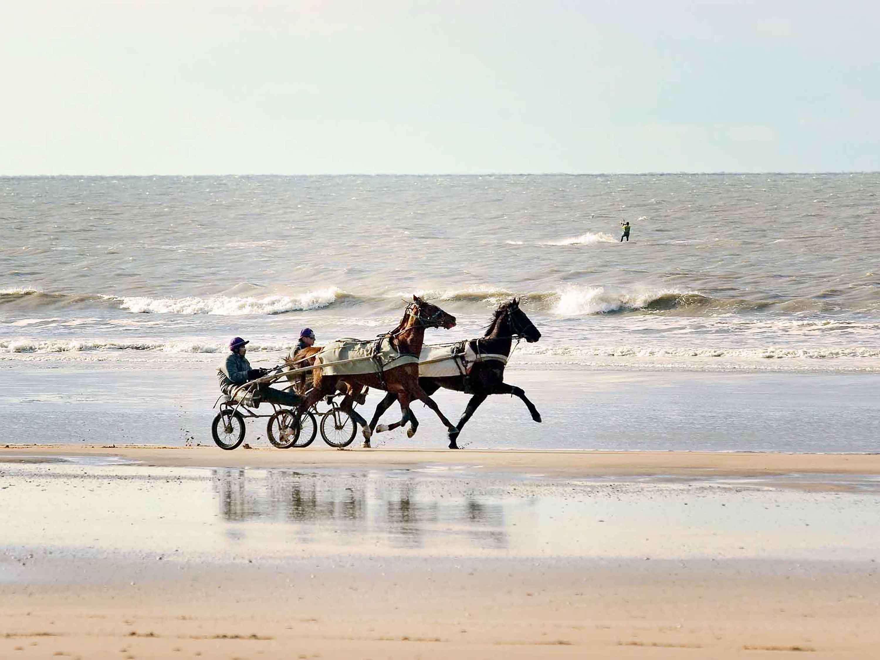 Mercure Deauville Centre Dış mekan fotoğraf